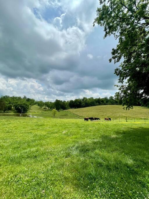 Bourbon Trail Cabin On The Farm Lawrenceburg Luaran gambar
