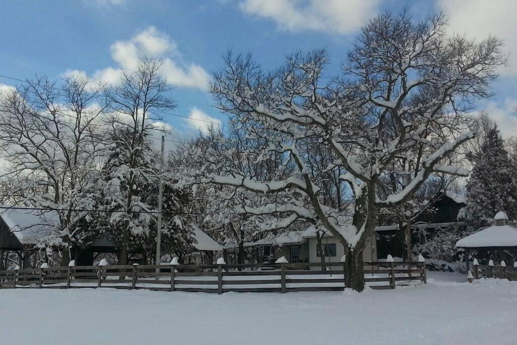 Bourbon Trail Cabin On The Farm Lawrenceburg Luaran gambar