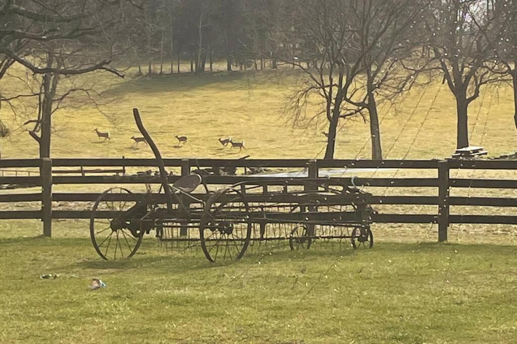Bourbon Trail Cabin On The Farm Lawrenceburg Luaran gambar