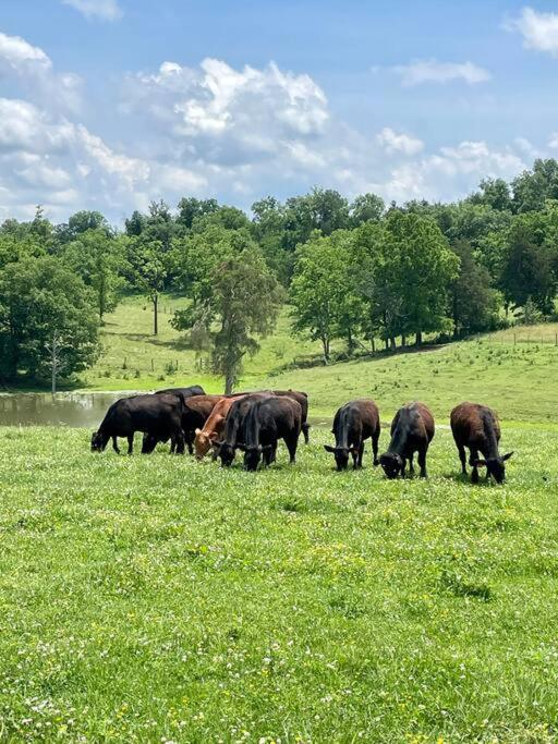 Bourbon Trail Cabin On The Farm Lawrenceburg Luaran gambar